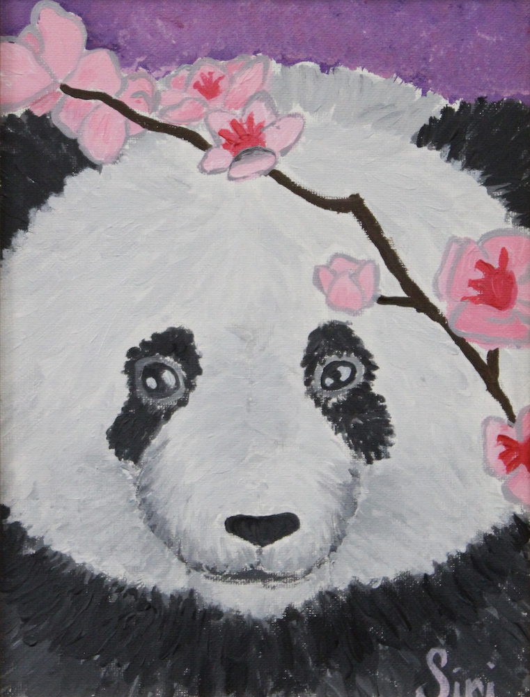 The Panda - Siri Paum