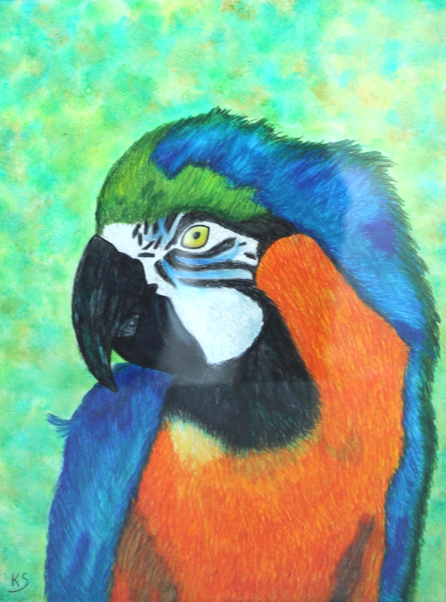 Kira-Stasko_Bird-of-Color-Cordovan-Art-Show