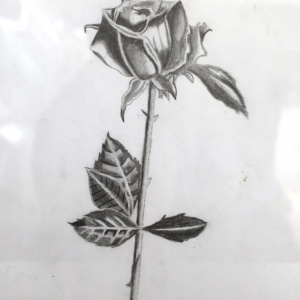 Dru-Kimball_Rose-Art-Classes-Cordovan-Student-Art-Show