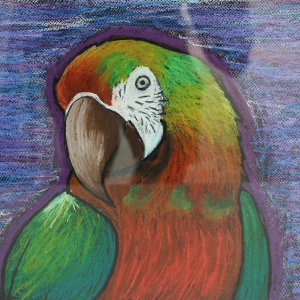 Siri-Pamu_Rainforest-Beauty-Art-Classes-Cordovan-Student-Art-Show