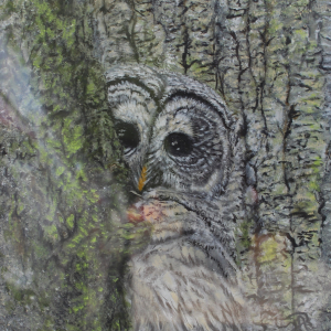 Dianne-Madariaga_Peekaboo-Adult-Art-Classes-Cordovan-Student-Art-Show