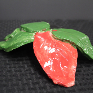 Nolan-Dsouza_Falling-Leaves