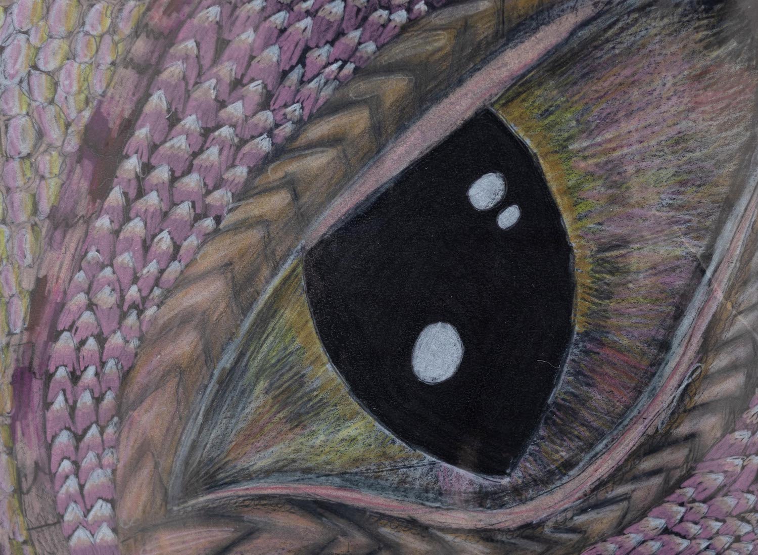 Trisha-Shaw_Dragon-Eye_1st-Place_050721_cordovan_art-show_submissions-280