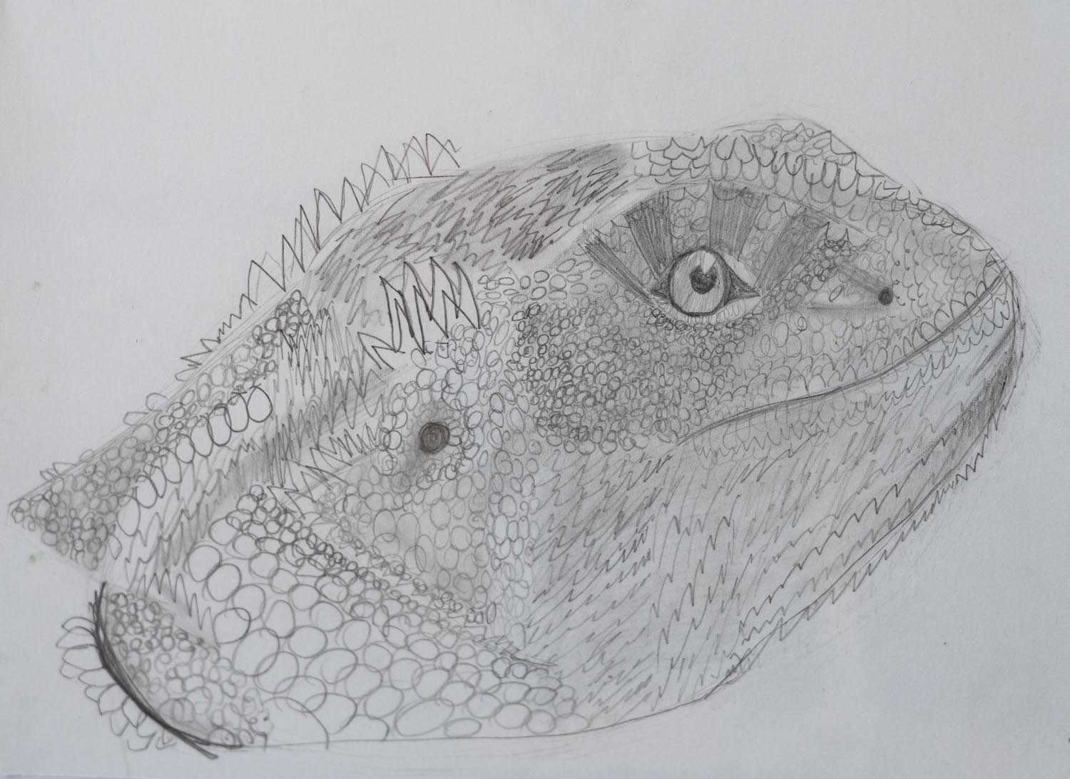 Stella-Green_My-Bearded-Dragon_2nd-Place_050721_cordovan_art-show_submissions-233