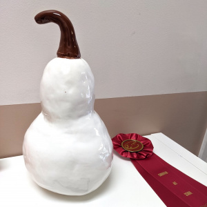 2nd-Place-Ceramics_Woodlands