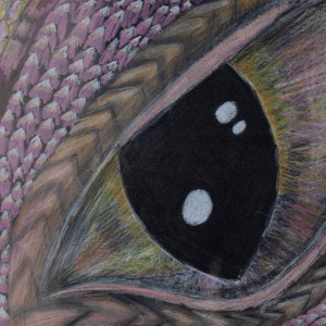 Trisha-Shaw_Dragon-Eye_1st-Place-Viewers-Choice_050721_cordovan_art-show_submissions-280