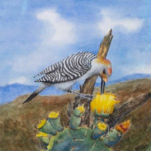 pecker
