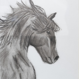 blackbeauty