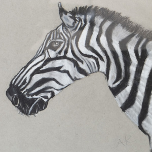 stripes