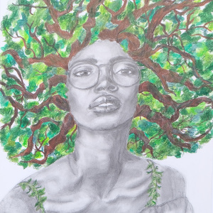 branches