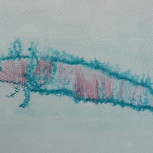 Elissa-Martinez-Ibarra_El-Ajolote_1st