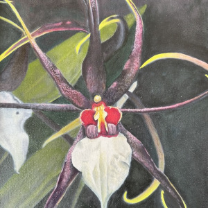 Jessica-Ohrel_Spicer-Orchid_1st