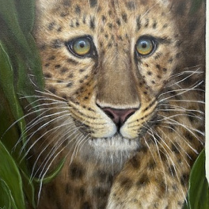 Shirley-Looney_Here-Kitty-Kitty_1st