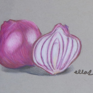 Ella-Shekari_Red-Onion_9-12_1st