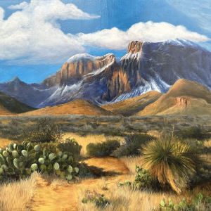 Jim-Elliott_Snow-in-Guadalupe-Mountains_2nd