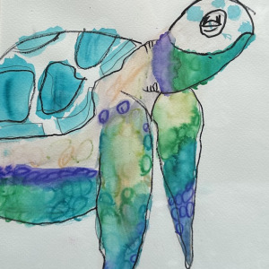 Charlie-Basalay_Ara-the-Turtle_2nd