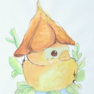 Kirana-Mohammad_Duck-Week_9-12_2nd