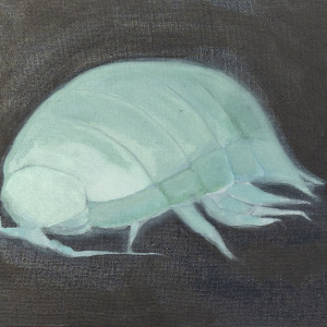 ARIA_ISOPOD_2nd