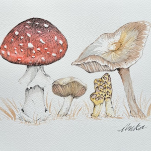 Anika-Titsworth_Mushrooms_2nd