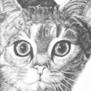 Katia-Rios_Garfield_Teen_2nd