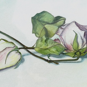 Sally-Gonzalez_Dried-Roses_3rd