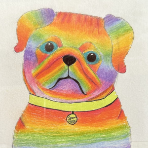 Stella-Granger_Thermal-Pug_3rd