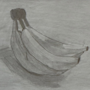 Tiago-Anaya_Ages-9-12_Bananas_3rd