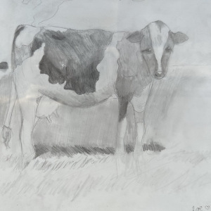 Zoe-Eden_The-Cow_3rd