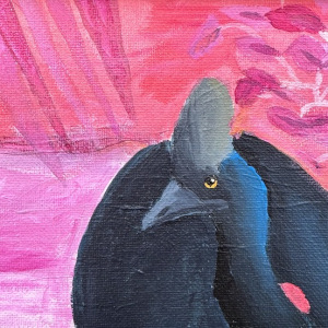 Abbie-Singleton_Cassowary_3rd