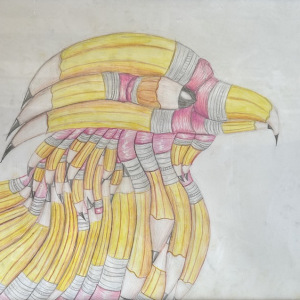 Audrey-Gay_Pencil-Hawk_3rd