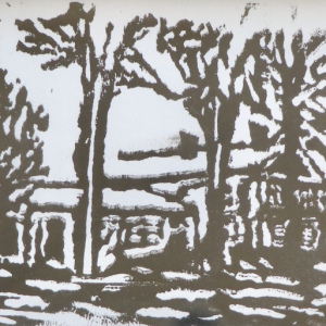 Nicholas-Shields_From-Afar_Teens_3rd