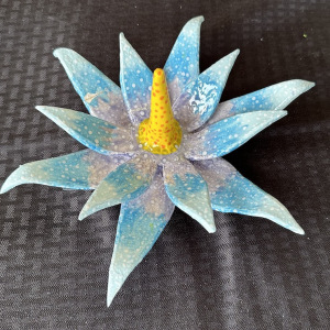 Llewellyn-Ting_Flower_1st