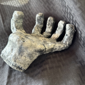 Samuel-Flores-Garcia_Monster-Hand_3rd