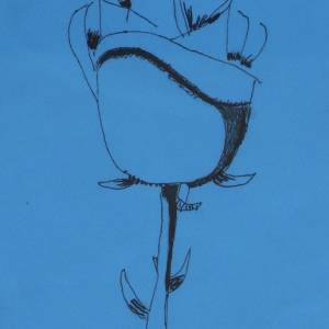 Chris-Lin-A-Rose_6-8_Viewers-Choice