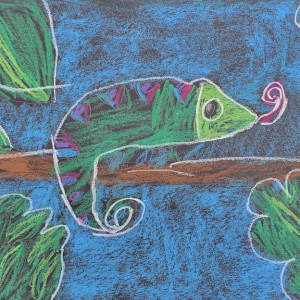 Sofiya-Kryvohuz_Night-Hunter_6-8_Viewers-Choice