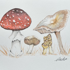 Anika-Titsworth_Mushrooms_VC