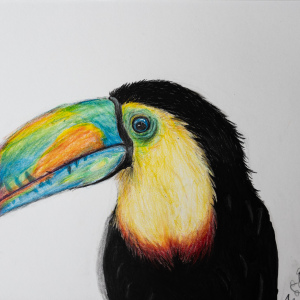 1st-Amanda-Marti-9-12-22A-Colorful-Bird22