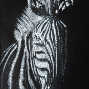 1st-Amanda-Marti-9-12-22The-Fading-Zebra22
