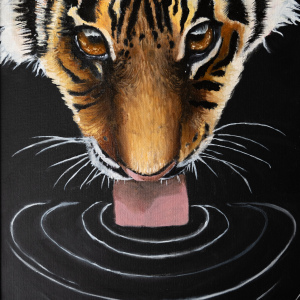 1st-Arhaan-Rai-9-12-22Tiger-on-Water22