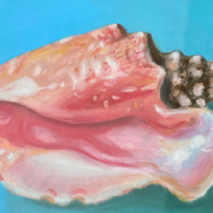 Untitled design - The Shell - 421