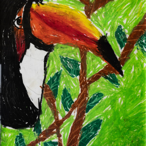 2nd-Aria-DeDear-9-12-22Toucan-in-the-Trees22