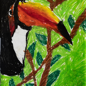 2nd-Aria-DeDear-9-12-22Toucan-in-the-Trees22