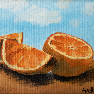 2nd-Avek-Dongol-9-12-22Orange-Slices22