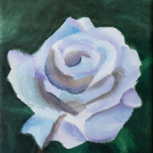 2nd-Avek-Dongol-9-12-22White-Rose22