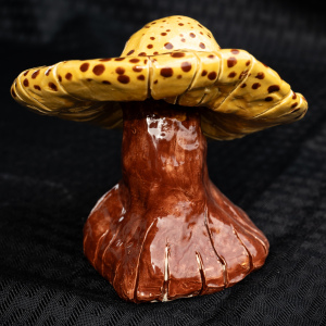 2nd-Josephine-K-Morrow-clay-22Spotted-Mushroom22