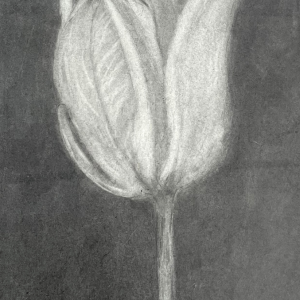 Untitled design - Ace The Flower - 312