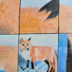 Untitled design - Akita the Fox - 426