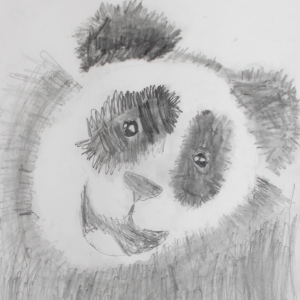 VIEWERS-Rhea-Bryner-4-5-22Kung-Fu-Panda22
