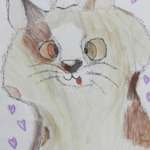 1st-Place-Theodore-Meeks-6-8-Mr-Whiskers