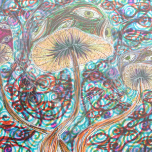1st-Place-Axelia-Agrella-9-12-Psychy